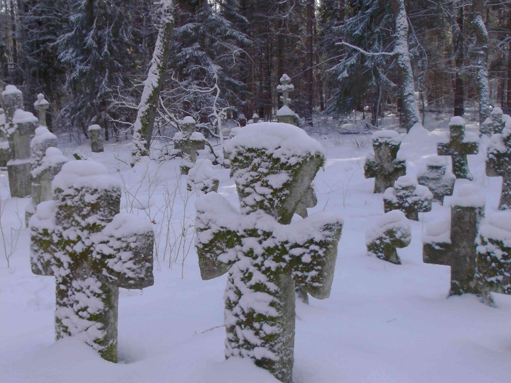 Snowy Crosses