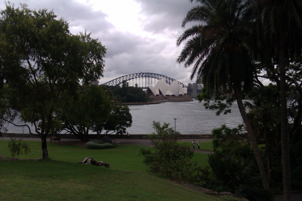 A view from the Botanical Gardens