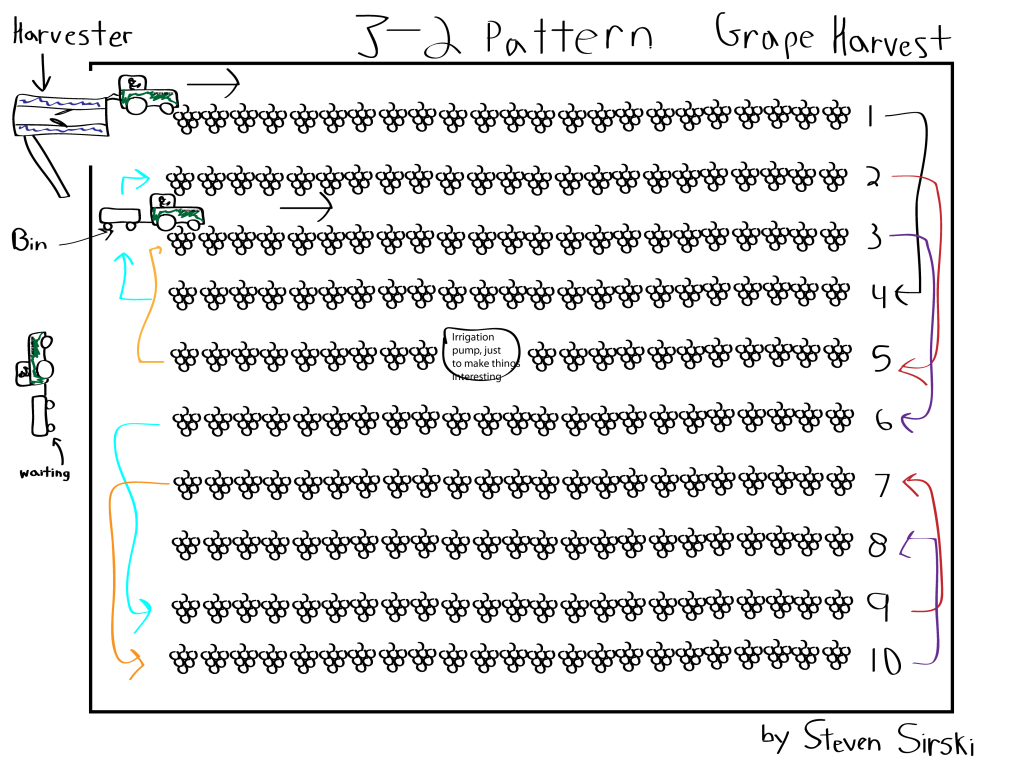 grape harvest picking pattern diagram