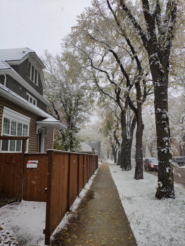 Winnipeg First Snow stevensirski